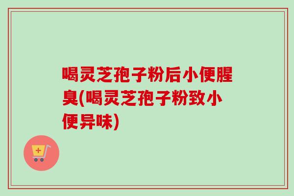 喝灵芝孢子粉后小便腥臭(喝灵芝孢子粉致小便异味)