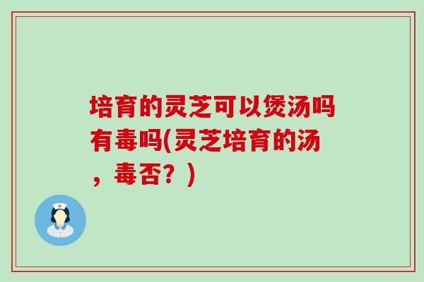 培育的灵芝可以煲汤吗有毒吗(灵芝培育的汤，毒否？)