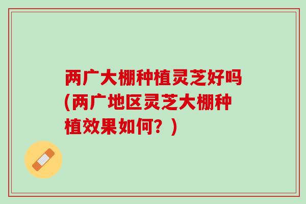 两广大棚种植灵芝好吗(两广地区灵芝大棚种植效果如何？)