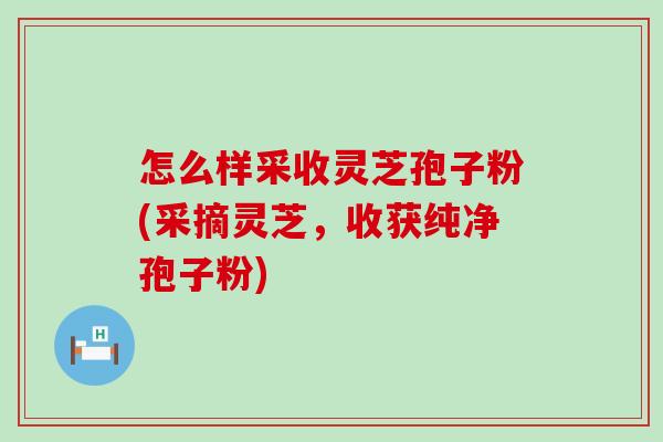 怎么样采收灵芝孢子粉(采摘灵芝，收获纯净孢子粉)