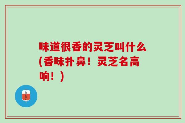 味道很香的灵芝叫什么(香味扑鼻！灵芝名高响！)