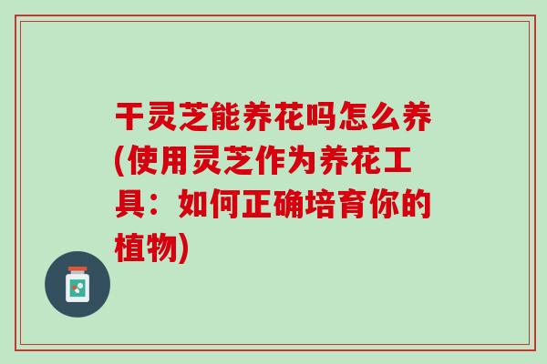 干灵芝能养花吗怎么养(使用灵芝作为养花工具：如何正确培育你的植物)
