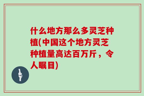 什么地方那么多灵芝种植(中国这个地方灵芝种植量高达百万斤，令人瞩目)