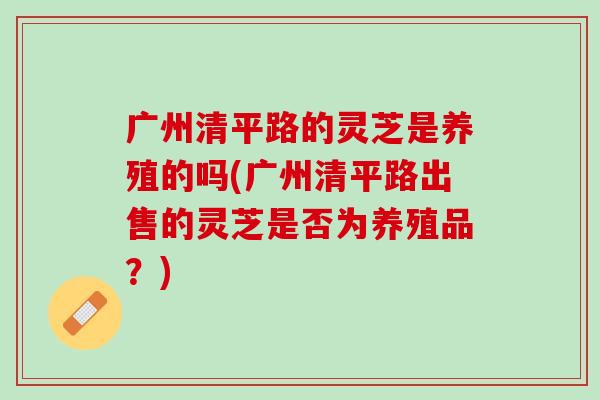 广州清平路的灵芝是养殖的吗(广州清平路出售的灵芝是否为养殖品？)