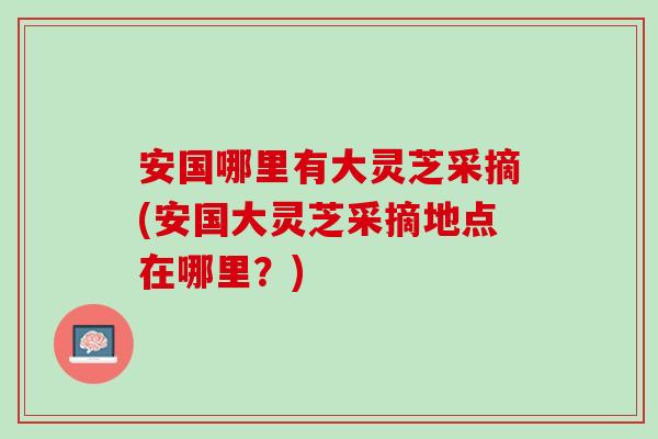 安国哪里有大灵芝采摘(安国大灵芝采摘地点在哪里？)