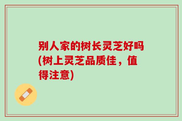别人家的树长灵芝好吗(树上灵芝品质佳，值得注意)