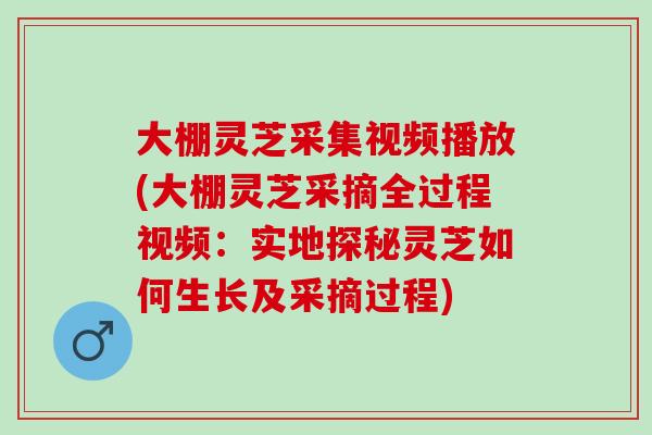 大棚灵芝采集视频播放(大棚灵芝采摘全过程视频：实地探秘灵芝如何生长及采摘过程)