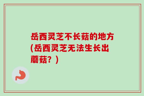 岳西灵芝不长菇的地方(岳西灵芝无法生长出蘑菇？)