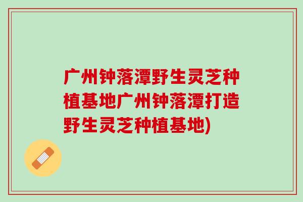 广州钟落潭野生灵芝种植基地广州钟落潭打造野生灵芝种植基地)