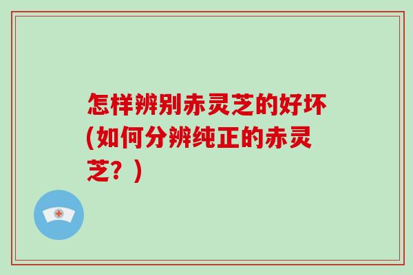 怎样辨别赤灵芝的好坏(如何分辨纯正的赤灵芝？)