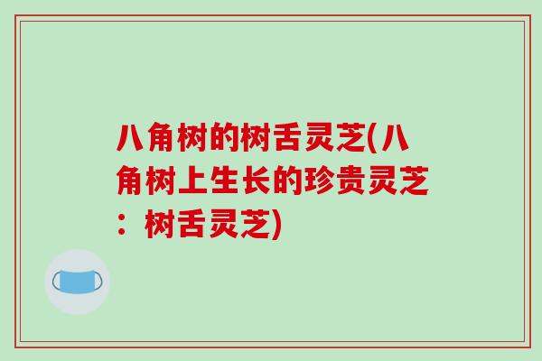 八角树的树舌灵芝(八角树上生长的珍贵灵芝：树舌灵芝)