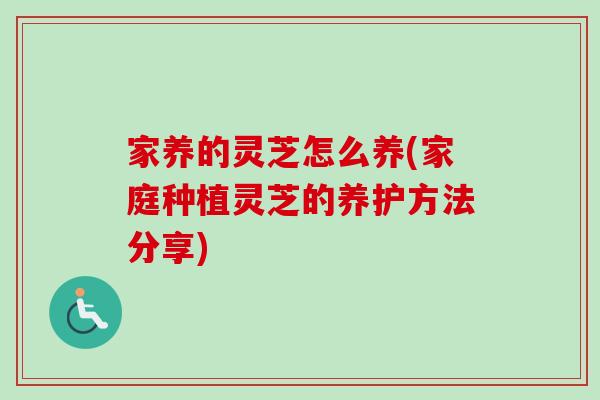 家养的灵芝怎么养(家庭种植灵芝的养护方法分享)