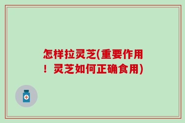 怎样拉灵芝(重要作用！灵芝如何正确食用)