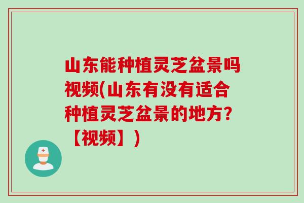 山东能种植灵芝盆景吗视频(山东有没有适合种植灵芝盆景的地方？【视频】)