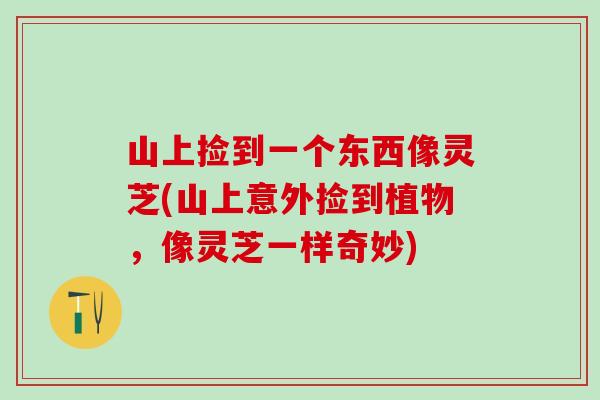 山上捡到一个东西像灵芝(山上意外捡到植物，像灵芝一样奇妙)