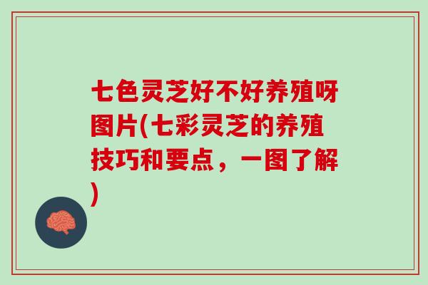 七色灵芝好不好养殖呀图片(七彩灵芝的养殖技巧和要点，一图了解)