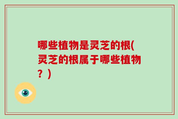 哪些植物是灵芝的根(灵芝的根属于哪些植物？)
