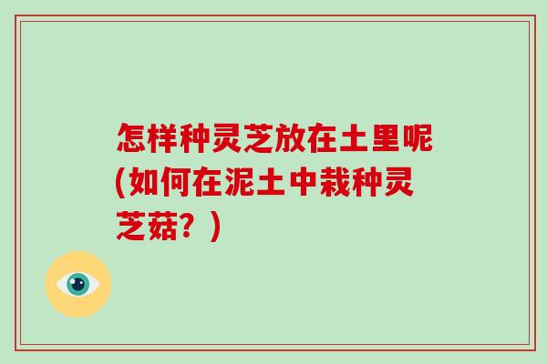 怎样种灵芝放在土里呢(如何在泥土中栽种灵芝菇？)