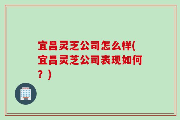 宜昌灵芝公司怎么样(宜昌灵芝公司表现如何？)