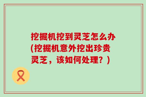 挖掘机挖到灵芝怎么办(挖掘机意外挖出珍贵灵芝，该如何处理？)