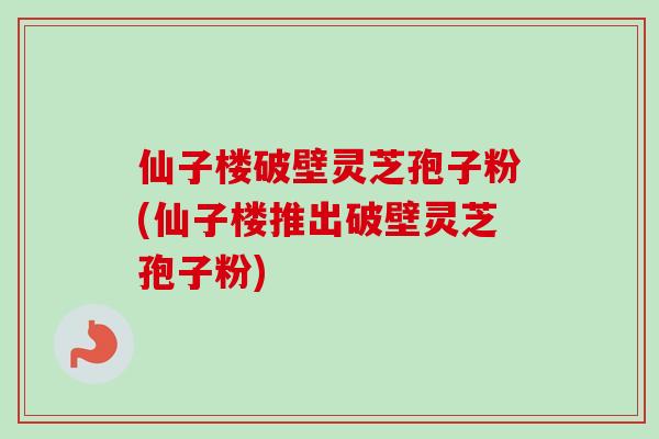仙子楼破壁灵芝孢子粉(仙子楼推出破壁灵芝孢子粉)