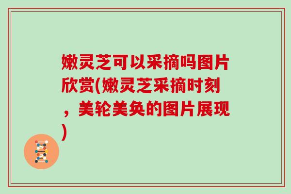 嫩灵芝可以采摘吗图片欣赏(嫩灵芝采摘时刻，美轮美奂的图片展现)