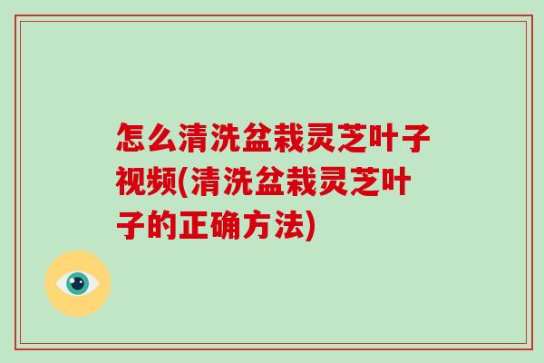 怎么清洗盆栽灵芝叶子视频(清洗盆栽灵芝叶子的正确方法)