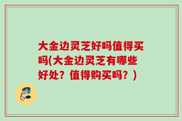 大金边灵芝好吗值得买吗(大金边灵芝有哪些好处？值得购买吗？)