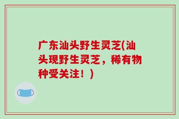 广东汕头野生灵芝(汕头现野生灵芝，稀有物种受关注！)