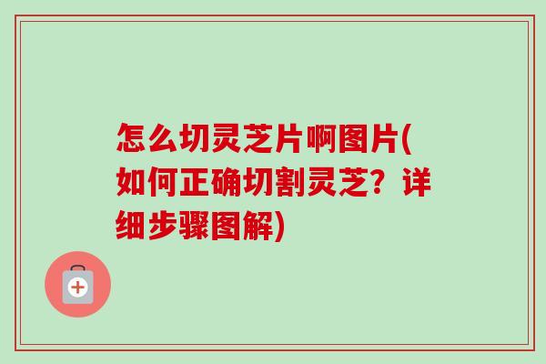 怎么切灵芝片啊图片(如何正确切割灵芝？详细步骤图解)