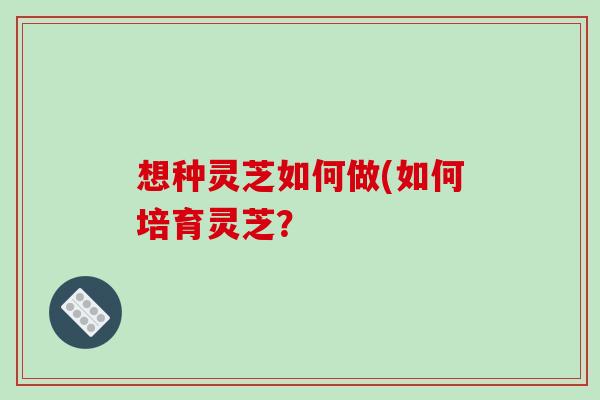 想种灵芝如何做(如何培育灵芝？