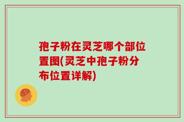孢子粉在灵芝哪个部位置图(灵芝中孢子粉分布位置详解)