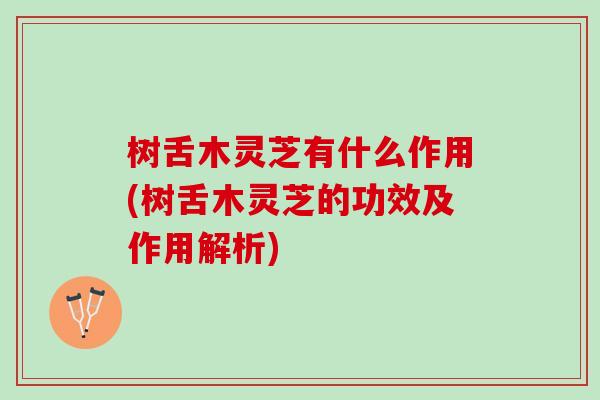 树舌木灵芝有什么作用(树舌木灵芝的功效及作用解析)