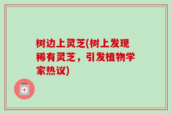 树边上灵芝(树上发现稀有灵芝，引发植物学家热议)
