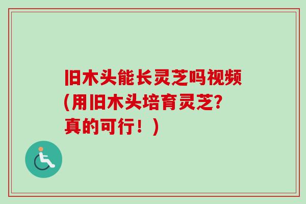 旧木头能长灵芝吗视频(用旧木头培育灵芝？真的可行！)