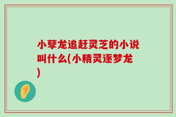 小孽龙追赶灵芝的小说叫什么(小精灵逐梦龙)