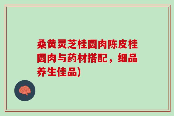 桑黄灵芝桂圆肉陈皮桂圆肉与药材搭配，细品养生佳品)