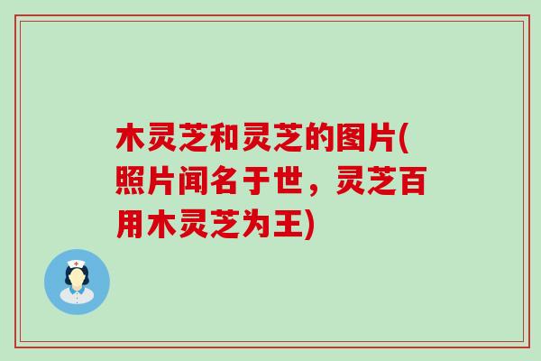 木灵芝和灵芝的图片(照片闻名于世，灵芝百用木灵芝为王)