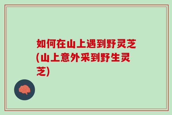 如何在山上遇到野灵芝(山上意外采到野生灵芝)