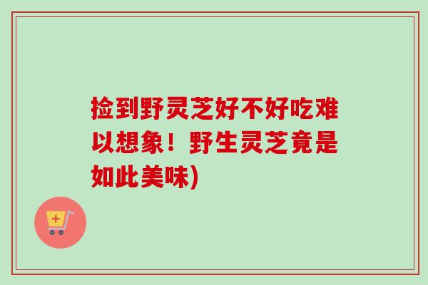 捡到野灵芝好不好吃难以想象！野生灵芝竟是如此美味)