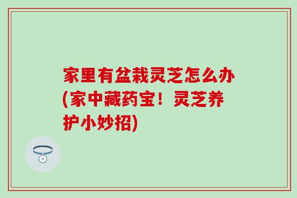 家里有盆栽灵芝怎么办(家中藏药宝！灵芝养护小妙招)
