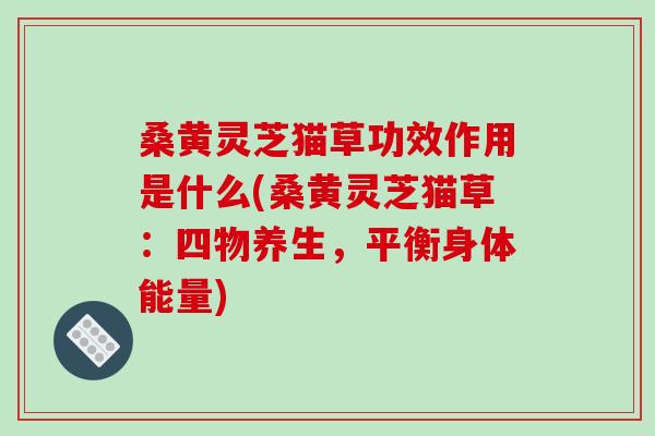 桑黄灵芝猫草功效作用是什么(桑黄灵芝猫草：四物养生，平衡身体能量)