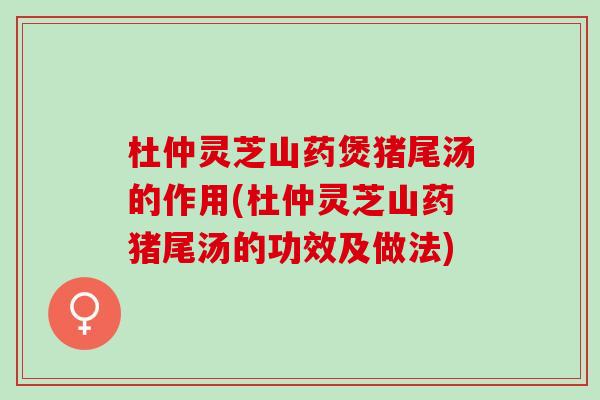 杜仲灵芝山药煲猪尾汤的作用(杜仲灵芝山药猪尾汤的功效及做法)
