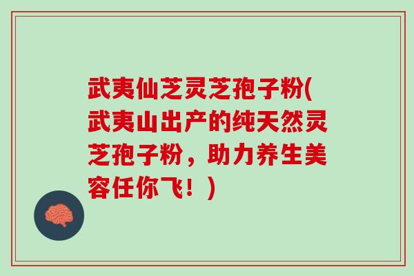 武夷仙芝灵芝孢子粉(武夷山出产的纯天然灵芝孢子粉，助力养生美容任你飞！)