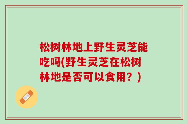 松树林地上野生灵芝能吃吗(野生灵芝在松树林地是否可以食用？)