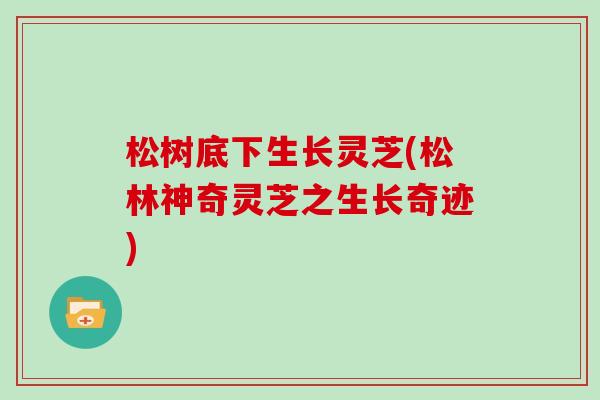 松树底下生长灵芝(松林神奇灵芝之生长奇迹)