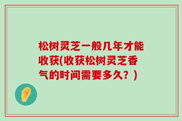 松树灵芝一般几年才能收获(收获松树灵芝香气的时间需要多久？)