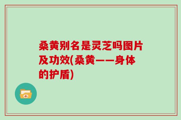 桑黄别名是灵芝吗图片及功效(桑黄——身体的护盾)