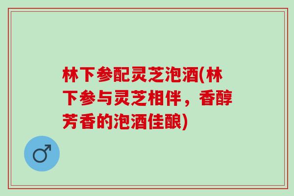 林下参配灵芝泡酒(林下参与灵芝相伴，香醇芳香的泡酒佳酿)