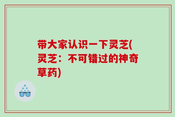 带大家认识一下灵芝(灵芝：不可错过的神奇草药)